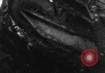 Image of United States Renault tank France, 1918, second 31 stock footage video 65675048479