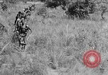 Image H M Washburn Bakubaland Congo Belge, 1941, de la seconde 27 séquences d'archives historiques vidéo 65675048496