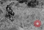 Image H M Washburn Bakubaland Congo Belge, 1941, de la seconde 28 séquences d'archives historiques vidéo 65675048496