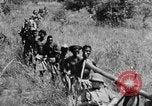 Image H M Washburn Bakubaland Congo Belge, 1941, de la seconde 33 séquences d'archives historiques vidéo 65675048496