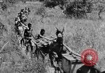 Image H M Washburn Bakubaland Congo Belge, 1941, de la seconde 39 séquences d'archives historiques vidéo 65675048496