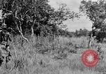Image H M Washburn Bakubaland Congo Belge, 1941, de la seconde 41 séquences d'archives historiques vidéo 65675048496