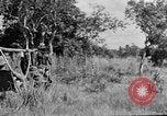 Image H M Washburn Bakubaland Congo Belge, 1941, de la seconde 43 séquences d'archives historiques vidéo 65675048496