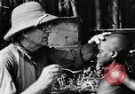 Image H M Washburn Bakubaland Congo Belge, 1941, de la seconde 31 séquences d'archives historiques vidéo 65675048498
