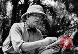 Immagine di H M Washburn Bakubaland Congo Belga, 1941, secondo 55 filmato di repertorio 65675048499