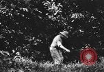 Immagine di H M Washburn Bakubaland Congo Belga, 1941, secondo 13 filmato di repertorio 65675048500