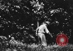 Immagine di H M Washburn Bakubaland Congo Belga, 1941, secondo 14 filmato di repertorio 65675048500