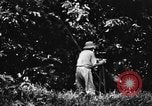 Immagine di H M Washburn Bakubaland Congo Belga, 1941, secondo 16 filmato di repertorio 65675048500