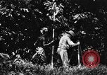 Immagine di H M Washburn Bakubaland Congo Belga, 1941, secondo 20 filmato di repertorio 65675048500