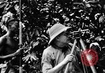Immagine di H M Washburn Bakubaland Congo Belga, 1941, secondo 23 filmato di repertorio 65675048500