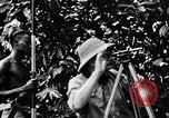 Immagine di H M Washburn Bakubaland Congo Belga, 1941, secondo 24 filmato di repertorio 65675048500