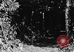 Immagine di H M Washburn Bakubaland Congo Belga, 1941, secondo 37 filmato di repertorio 65675048500
