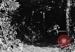 Immagine di H M Washburn Bakubaland Congo Belga, 1941, secondo 39 filmato di repertorio 65675048500
