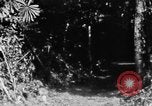 Immagine di H M Washburn Bakubaland Congo Belga, 1941, secondo 43 filmato di repertorio 65675048500