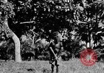 Immagine di Ospedale missione Bakubaland Congo Belga, 1941, secondo 10 filmato di repertorio 65675048501
