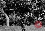 Immagine di Ospedale missione Bakubaland Congo Belga, 1941, secondo 11 filmato di repertorio 65675048501