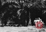 Immagine di Ragazzo africano Congo belga, 1939, secondo 16 filmato di repertorio 65675048503