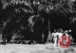 Immagine di Ragazzo africano Congo belga, 1939, secondo 17 filmato di repertorio 65675048503