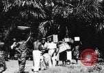 Immagine di Ragazzo africano Congo belga, 1939, secondo 22 filmato di repertorio 65675048503