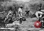Standbild afrikanischen Stammesangehörige Afrika, 1931, aus Sekunde 17 historischem Filmmaterial Videoclip 65675048505