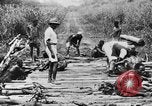 Standbild afrikanischen Stammesangehörige Afrika, 1931, aus Sekunde 19 historischem Filmmaterial Videoclip 65675048505