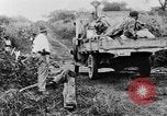 Standbild afrikanischen Stammesangehörige Afrika, 1931, aus Sekunde 32 historischem Filmmaterial Videoclip 65675048505