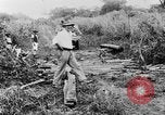 Standbild afrikanischen Stammesangehörige Afrika, 1931, aus Sekunde 39 historischem Filmmaterial Videoclip 65675048505