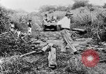 Standbild afrikanischen Stammesangehörige Afrika, 1931, aus Sekunde 40 historischem Filmmaterial Videoclip 65675048505