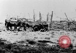 Standbild Praxis der Polygamie Afrika, 1931, aus Sekunde 42 historischem Filmmaterial Videoclip 65675048508