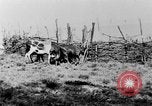 Standbild Praxis der Polygamie Afrika, 1931, aus Sekunde 45 historischem Filmmaterial Videoclip 65675048508