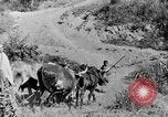 Standbild afrikanischen Stammesangehörige Zentralafrika, 1931, aus Sekunde 35 historischem Filmmaterial Videoclip 65675048514