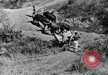 Standbild afrikanischen Stammesangehörige Zentralafrika, 1931, aus Sekunde 43 historischem Filmmaterial Videoclip 65675048514