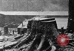 Immagine di Lumber camp United States USA, 1917, secondo 9 filmato di repertorio 65675048517