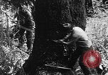 Immagine di Macchinoso United States USA, 1917, secondo 1 filmato di repertorio 65675048519