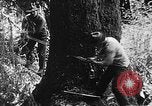 Immagine di Macchinoso United States USA, 1917, secondo 3 filmato di repertorio 65675048519