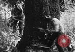 Immagine di Macchinoso United States USA, 1917, secondo 5 filmato di repertorio 65675048519