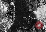 Immagine di Macchinoso United States USA, 1917, secondo 6 filmato di repertorio 65675048519
