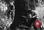Immagine di Macchinoso United States USA, 1917, secondo 7 filmato di repertorio 65675048519