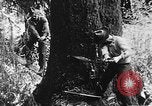 Immagine di Macchinoso United States USA, 1917, secondo 8 filmato di repertorio 65675048519