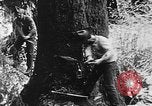 Immagine di Macchinoso United States USA, 1917, secondo 9 filmato di repertorio 65675048519