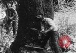 Immagine di Macchinoso United States USA, 1917, secondo 10 filmato di repertorio 65675048519