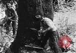 Immagine di Macchinoso United States USA, 1917, secondo 11 filmato di repertorio 65675048519