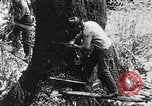 Immagine di Macchinoso United States USA, 1917, secondo 12 filmato di repertorio 65675048519