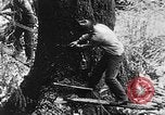 Immagine di Macchinoso United States USA, 1917, secondo 13 filmato di repertorio 65675048519
