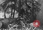 Immagine di Macchinoso United States USA, 1917, secondo 20 filmato di repertorio 65675048519