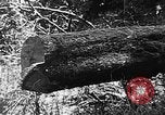 Immagine di Macchinoso United States USA, 1917, secondo 33 filmato di repertorio 65675048519