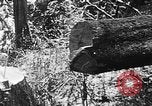 Immagine di Macchinoso United States USA, 1917, secondo 36 filmato di repertorio 65675048519