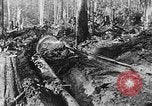 Immagine di Macchinoso United States USA, 1917, secondo 42 filmato di repertorio 65675048519