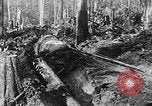Immagine di Macchinoso United States USA, 1917, secondo 43 filmato di repertorio 65675048519