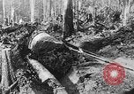 Immagine di Macchinoso United States USA, 1917, secondo 45 filmato di repertorio 65675048519